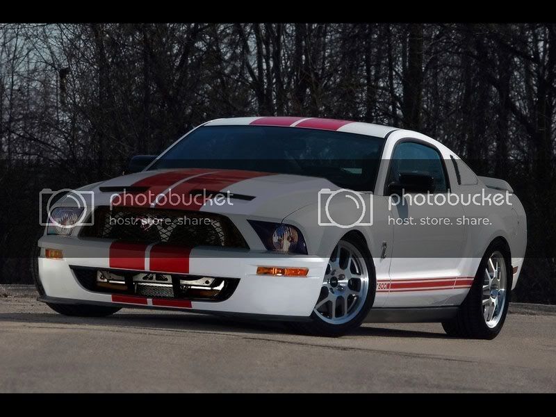 shelby1.jpg