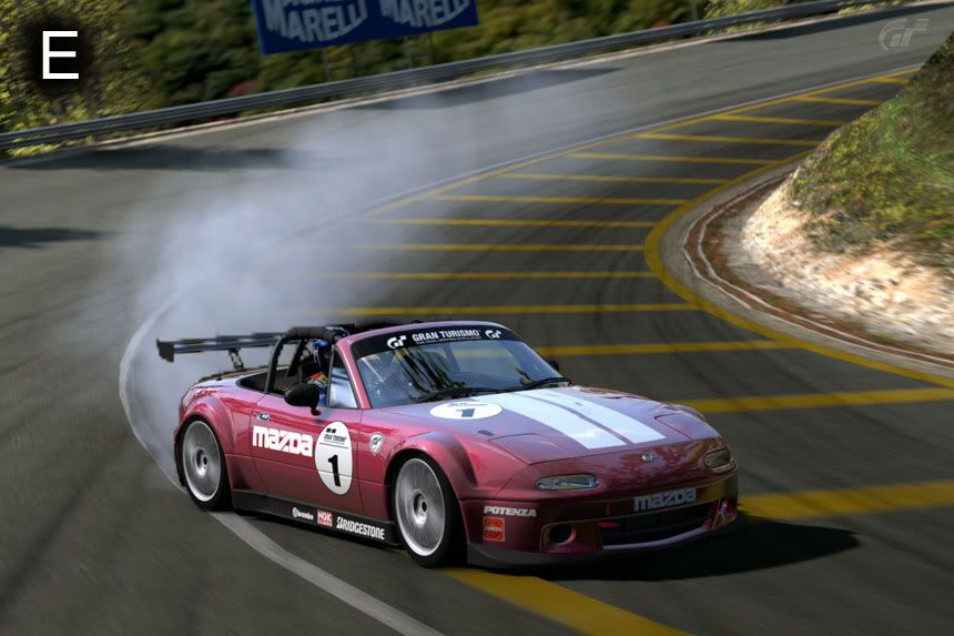 E_TrialMountainCircuit.jpg