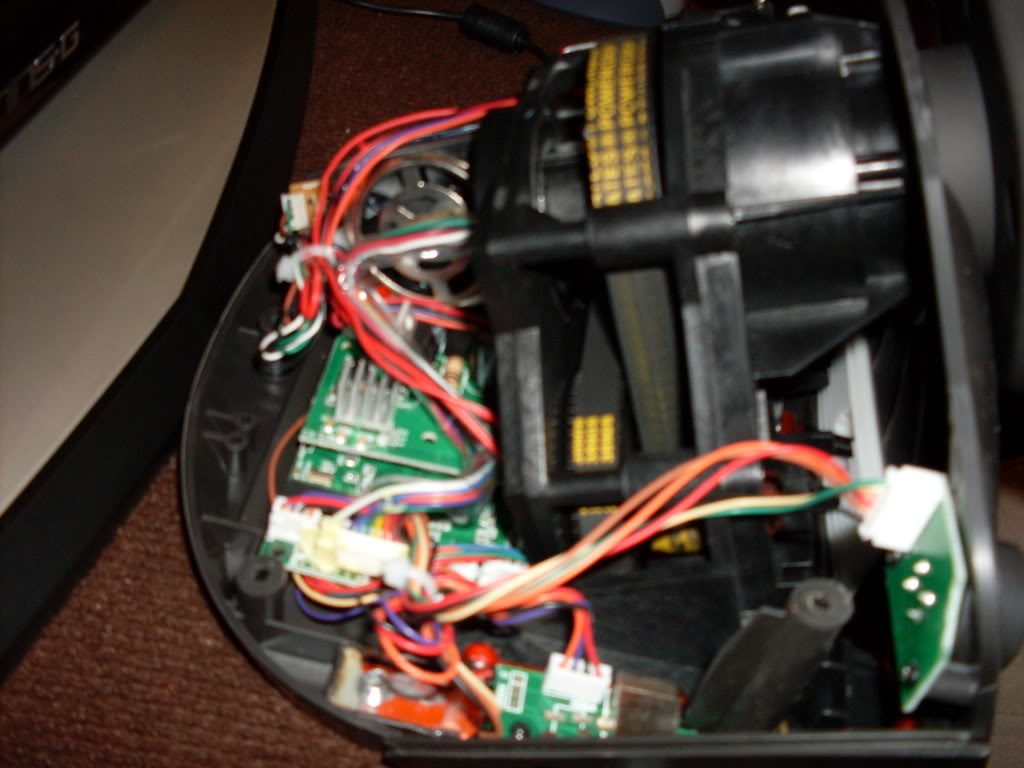 SDC10248.jpg