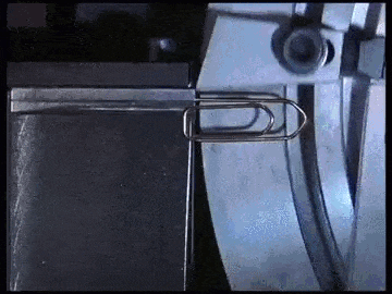 ReliableForkedItalianbrownbear.gif