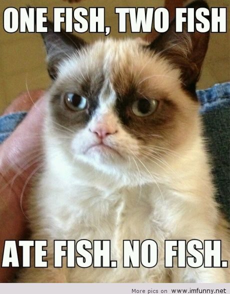 Grumpy-cat-about-a-fishes.jpg