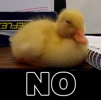 60877-Duck-no-gif-zeih.gif