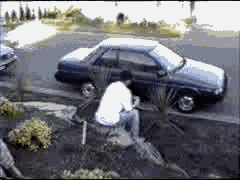 shovel.gif