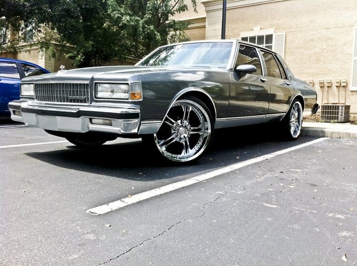 38785044007_large.jpg
