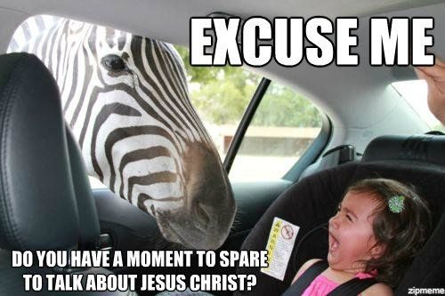 zebra-meme.jpg