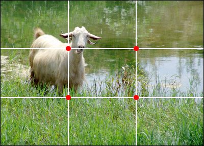 rule_of_thirds.jpg
