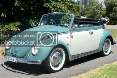 beetle_zpsd46bdcb6.jpg