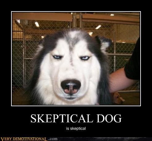 skeptical-dog.jpg