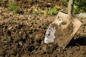 digging.jpg