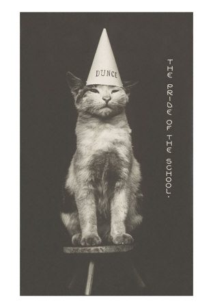 KC-00030-C~Cat-in-Dunce-Cap-Posters.jpg