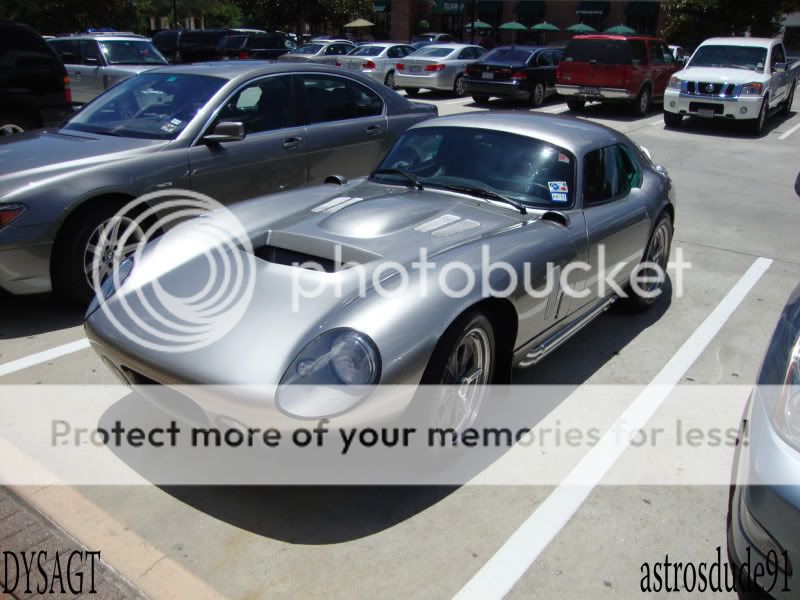 DSC01381gtp.jpg