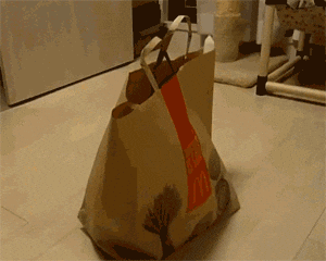r2TgY.gif