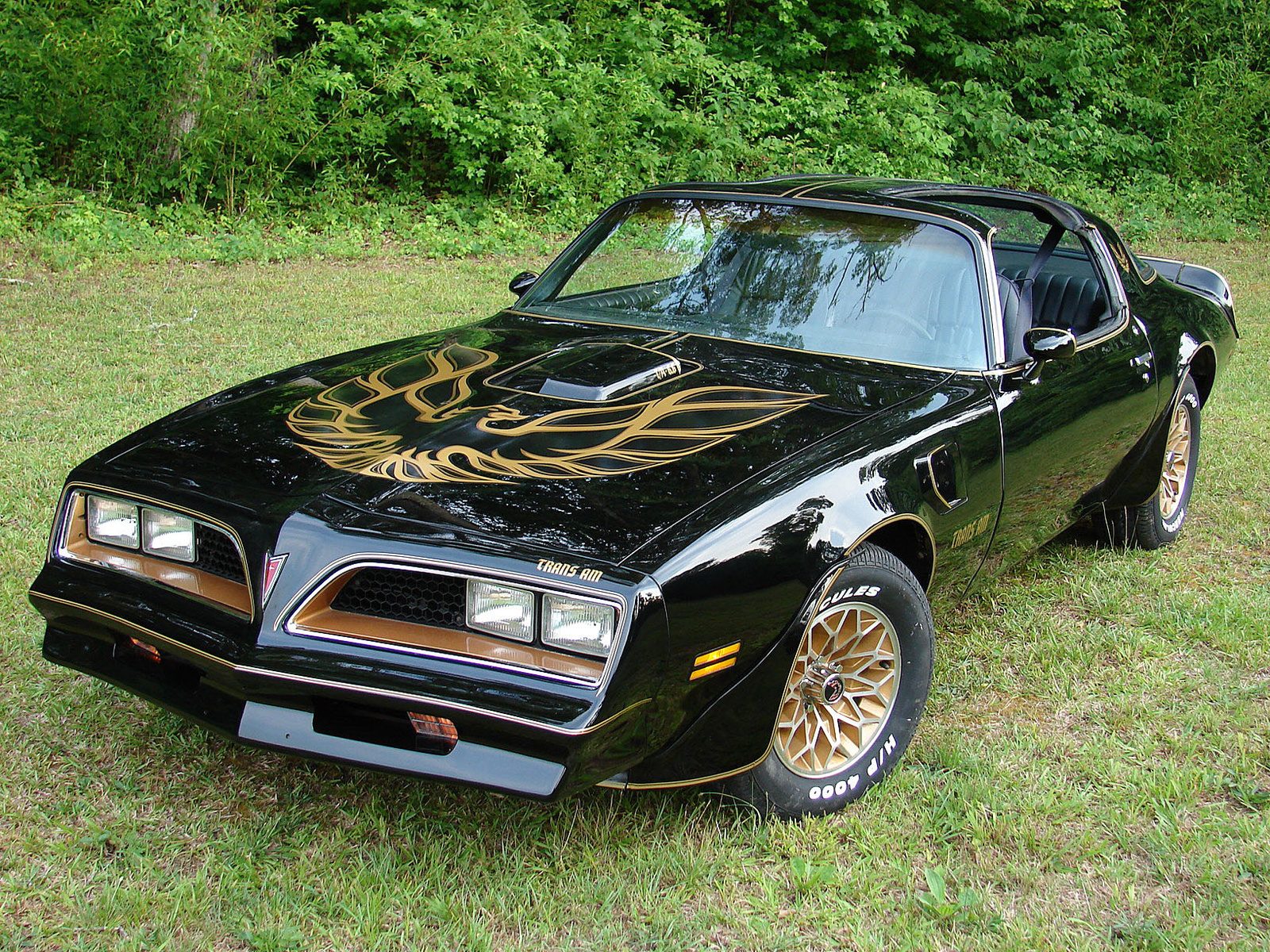 1978_pontiac_trans_am-pic-15658.jpeg