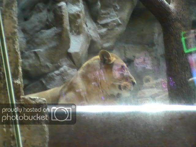 PIC_0202.jpg