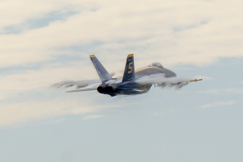 51673076385_aab592659d_b.jpg