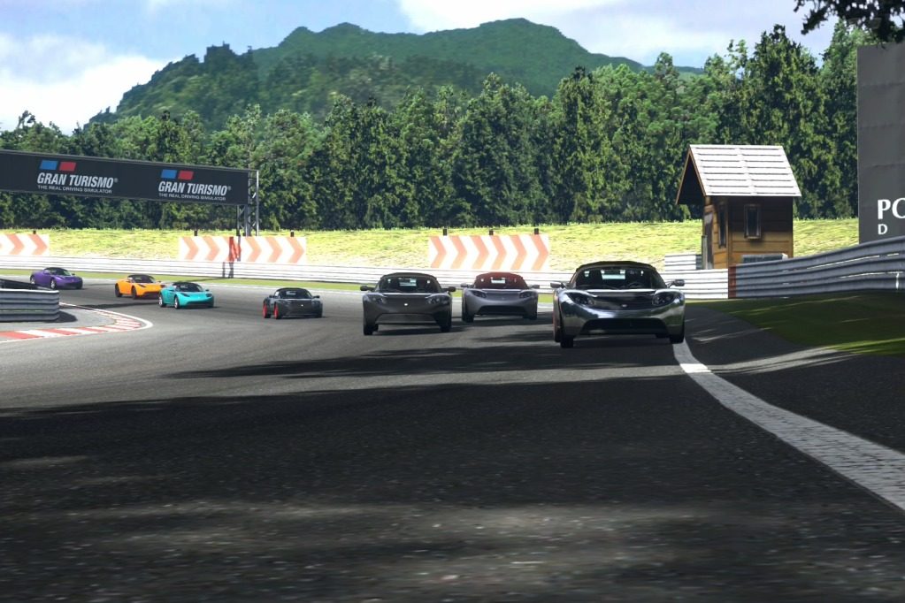DeepForestRaceway_4.jpg