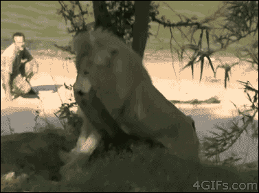 xeNzAxB.gif