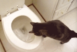 10-daily-gifdump-105.gif