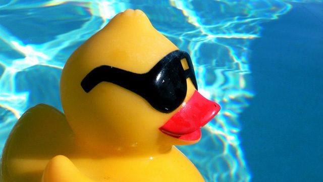 duck-glasses.jpg