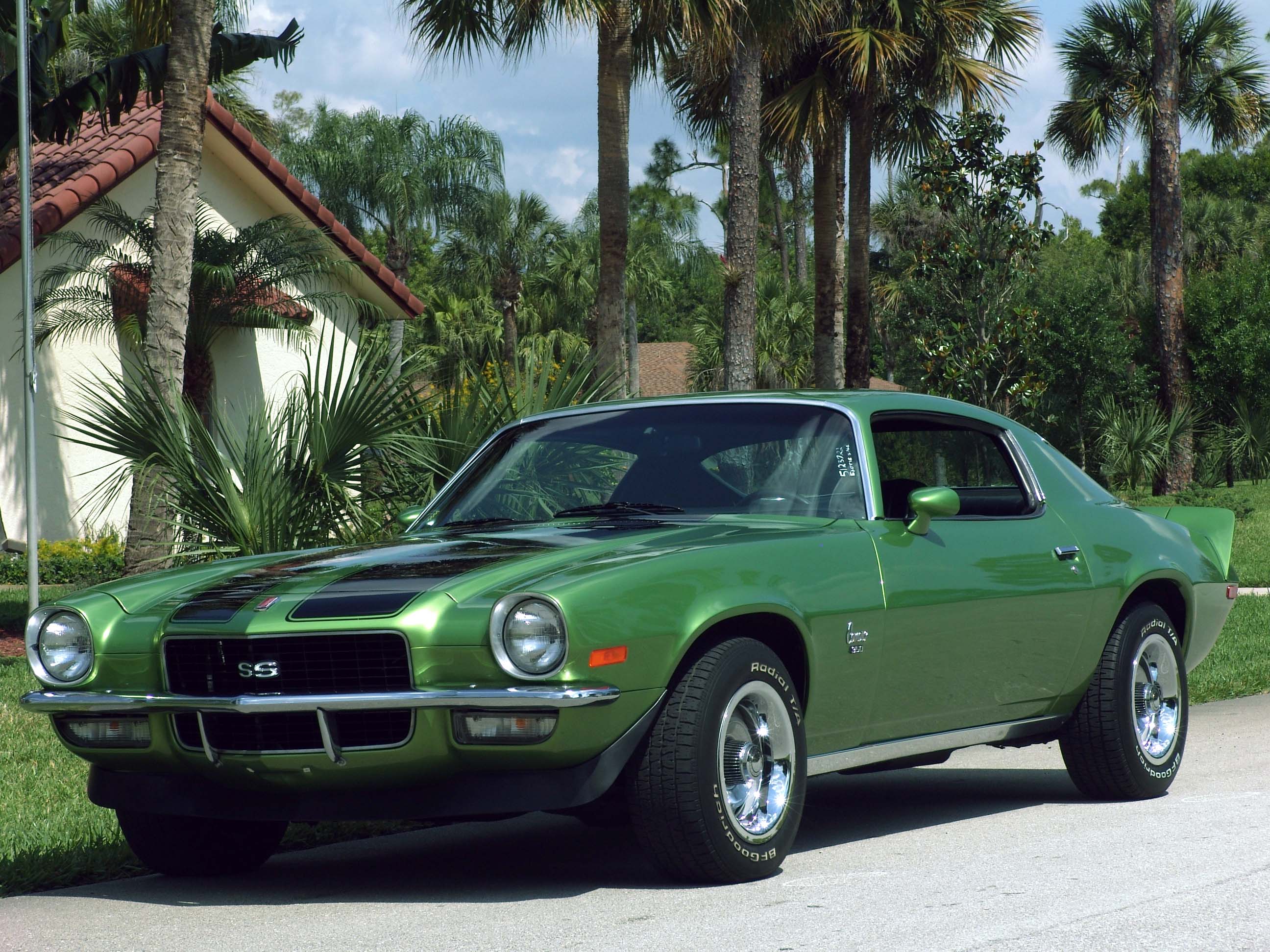 1971_Camaro_SS.jpg