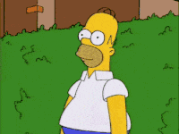 991cc8bb42dd2d1f49c9e0c5c415a72c_w200.gif