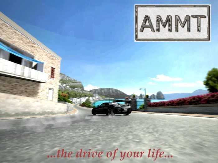 ammtlogosmall.jpg