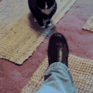 144.gif