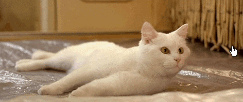 yzrAT.gif