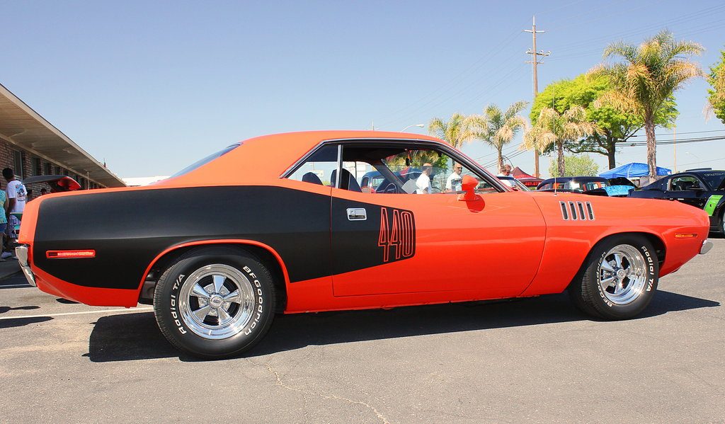 440_6_cuda_by_stalliondesigns-d64xr5i.jpg