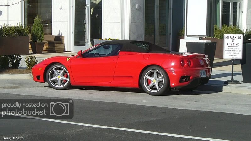 360_spider-021008.jpg