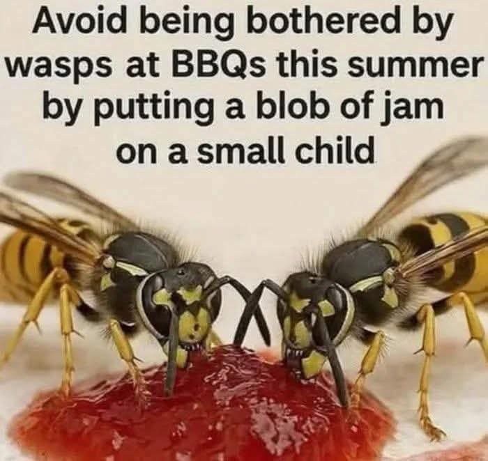 wasps.jpg