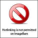 ib2mM8TslG9RDZ.gif