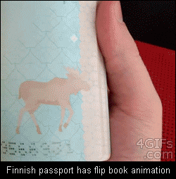 tumblr_mm3pl6suGQ1qdlh1io1_250.gif