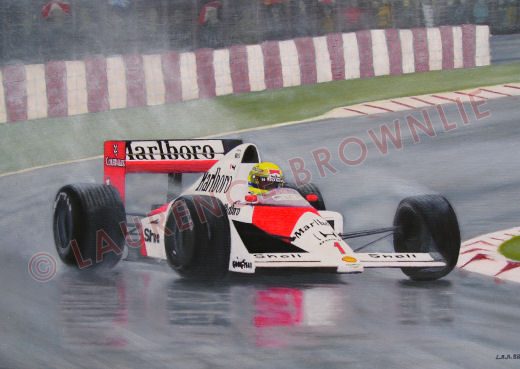 Senna-cpy.jpg