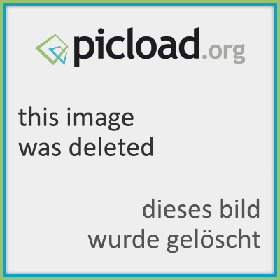 117.gif
