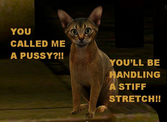 JudgeJenkins7.jpg