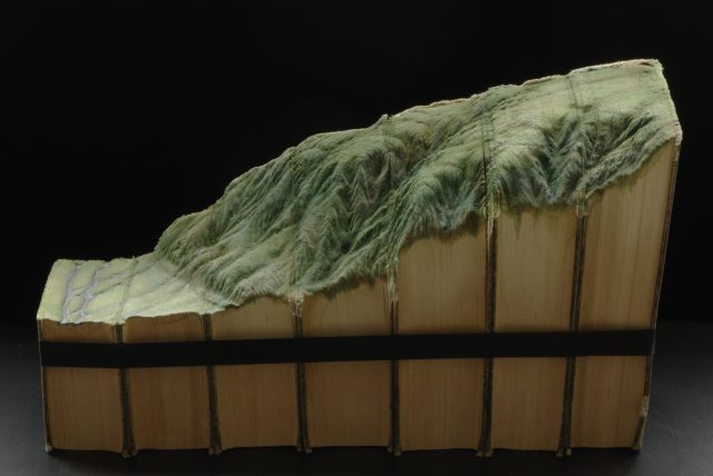 book-8-640x428.jpg