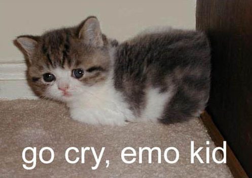 kitty11-emo.jpg