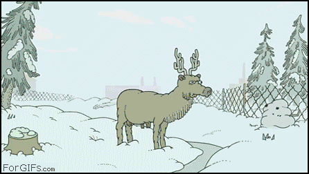 nur4v.gif