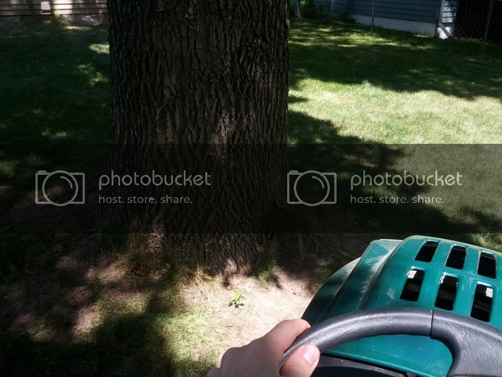 IMG_20130803_121423_zps5bf97ce4.jpg