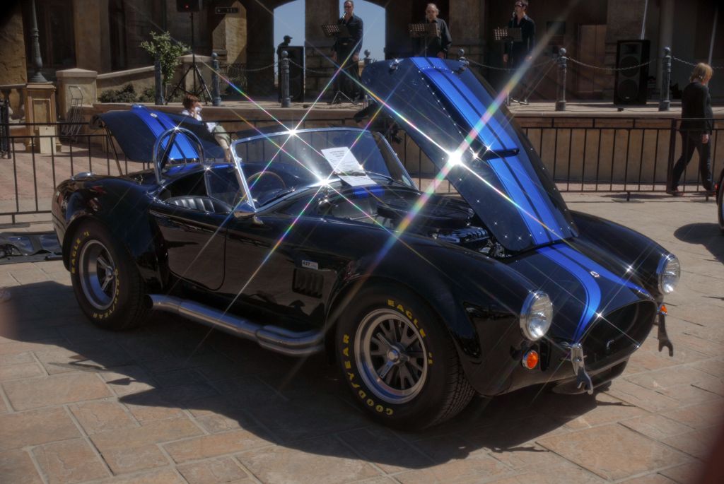 s_Cobra3.jpg