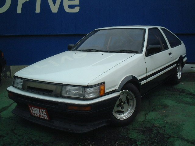 86LEVIN008F.JPG