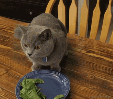 F9uwHrV.gif
