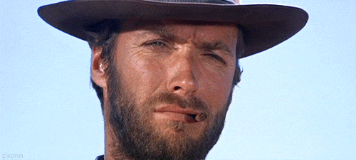 tumblr_m25emkWstT1romq2to1_500.gif