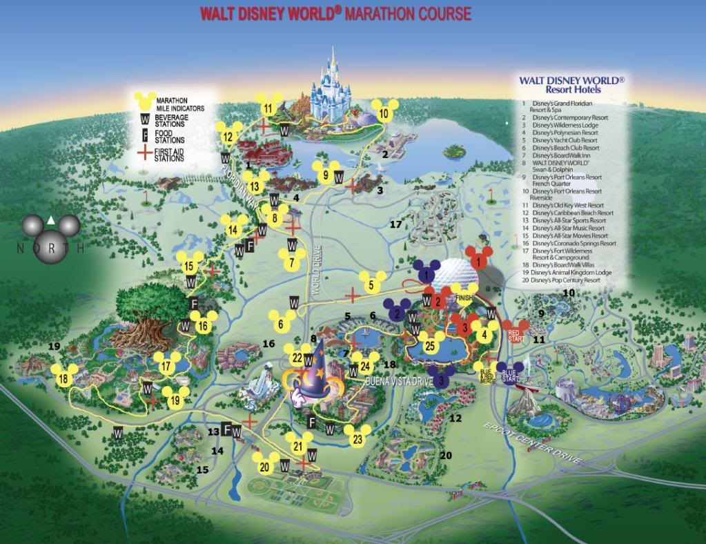 wdw262.jpg