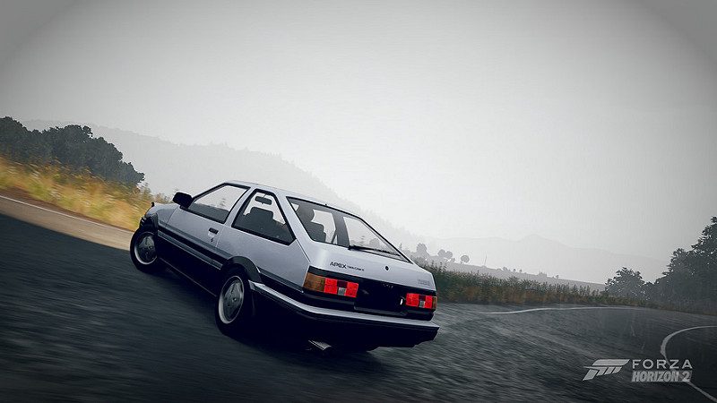 18813218570_03238159b1_c.jpg