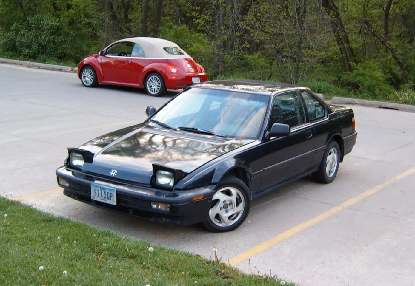 4-20-2012-012.jpg