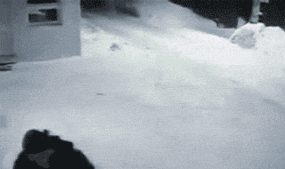 tffa9.gif