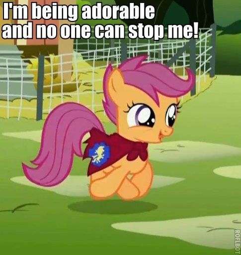scootaloo.jpg