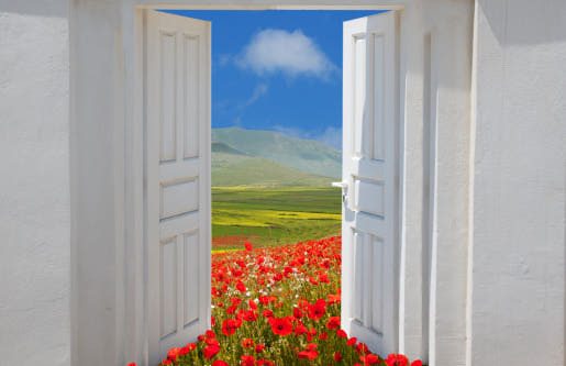 buenavistaimages-g-door.jpg